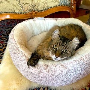 Meet your Posher, Petra